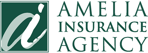 Amelia Insurance